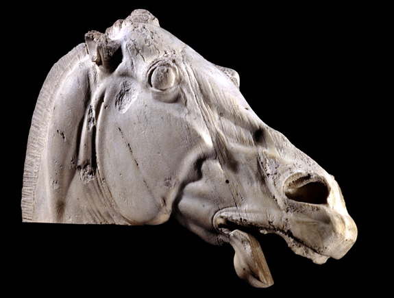 Elgin Marbles horse