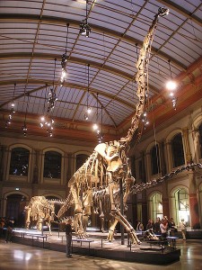 Brachiosaurus-German-Museum-225x300.jpg