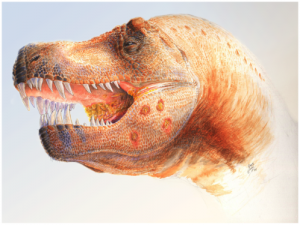 A restoration of a Tyrannosaurus called 'Peck's Rex' showing lesions in the jaw and mouth. From the PLoS One paper.