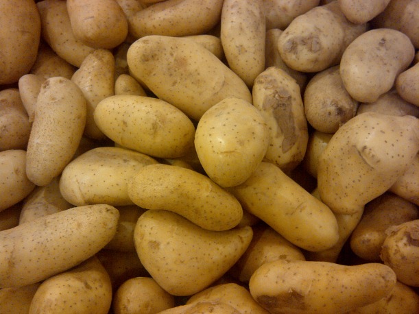 Horrific Tales of Potatoes That Caused Mass Sickness and Even Death