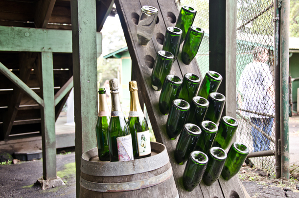champagne riddling rack