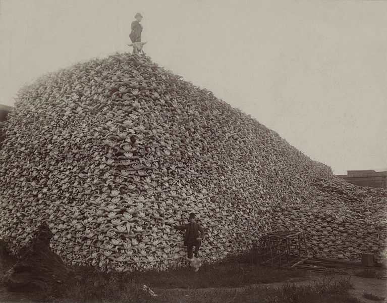 varm Afsky nevø Where the Buffalo No Longer Roamed | History | Smithsonian Magazine