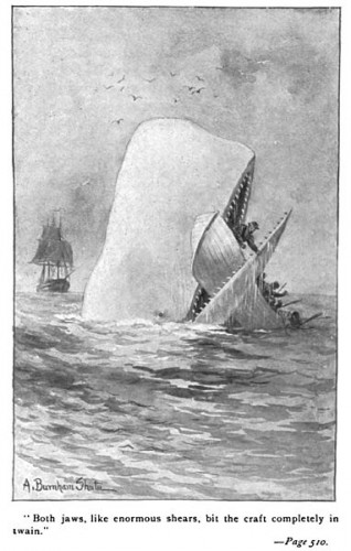 The True Life Horror That Inspired Moby Dick History