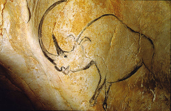Chauvet Cave Rhino