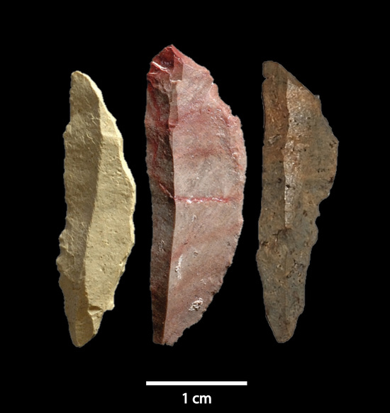 Smithsonian image - ancient arrow heads
