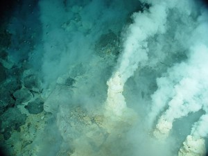 Champagne Vent, Mariana Trench Marine National Monument. Image courtesy of the NOAA Submarine Ring of Fire 2004 Exploration and the NOAA Vents Program.