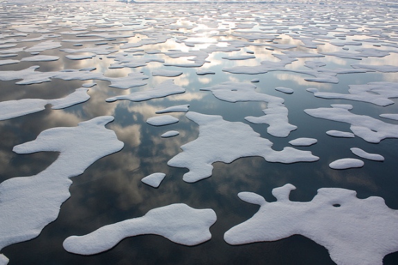 Arctic ice in 2011.