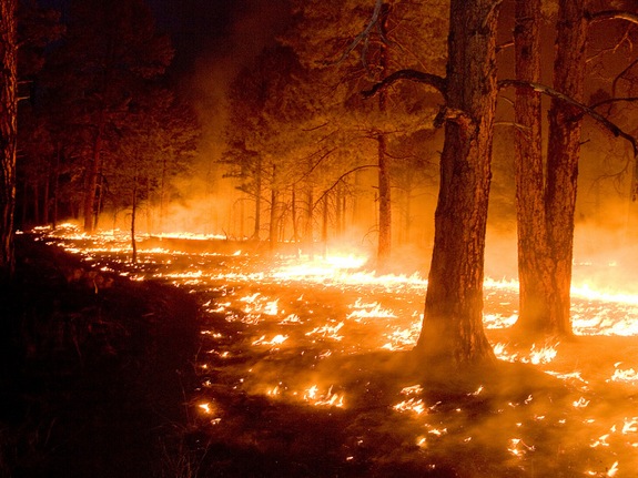 New Mexico's 2012 Gila Wildfire