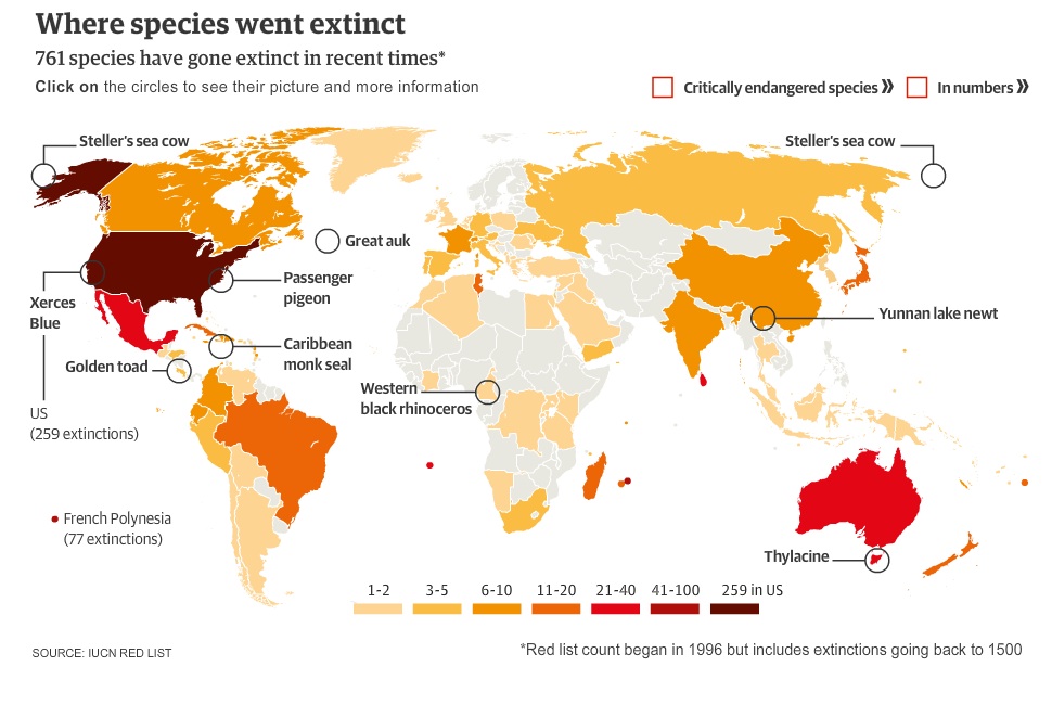 Extinction Rates Are Biased And Much Worse Than You Thought Top Cats