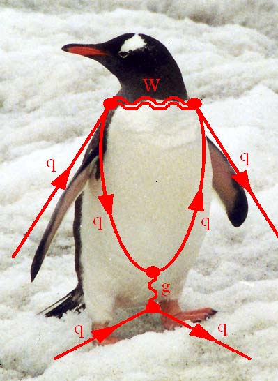 How A Physics Diagram Was Named After A Penguin
