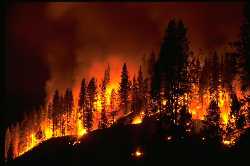 Western U.S. Forest Fires Could Double Within 40 Years | Smart News | Smithsonian Magazine